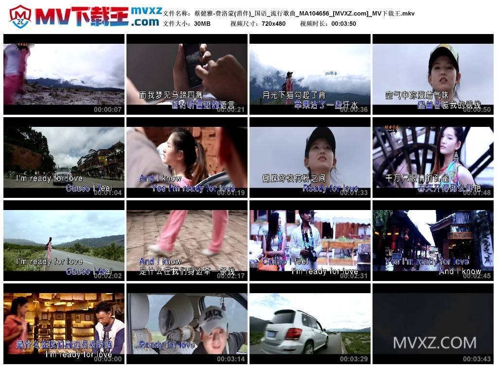 蔡健雅-费洛蒙(消伴)_国语_流行歌曲_MA104656